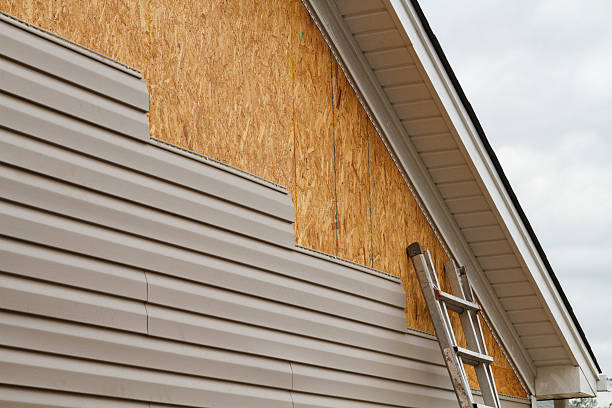 Professional Emergency Siding Repair technician working in Carr, CO